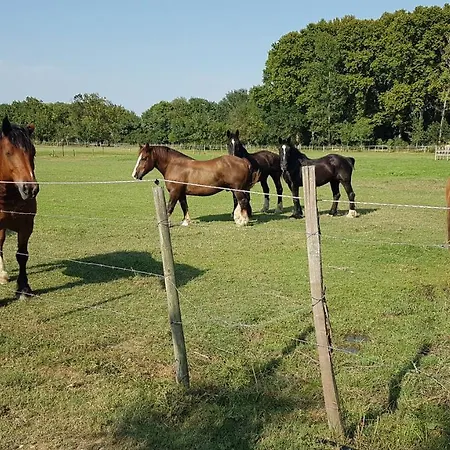 Сasa de vacaciones Les De Camargue Le Cailar