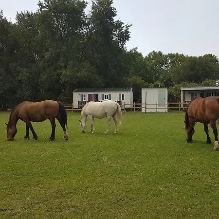 Les De Camargue Сasa de vacaciones Le Cailar