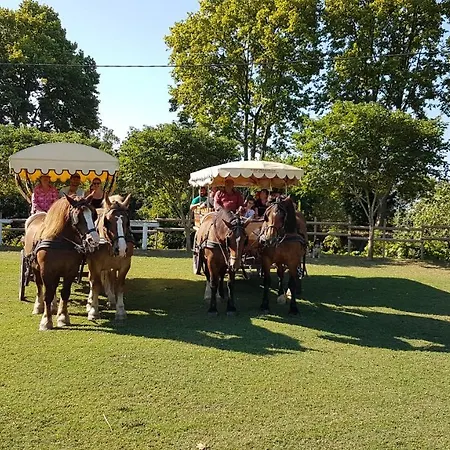 Les De Camargue Le Cailar