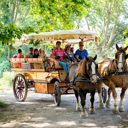 Σπίτι διακοπών Mon En Camargue